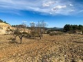 Magnífica Finca Ecuestre Off-Grid en Almansa in Alicante Dream Homes API 1122