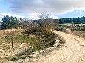 Magnífica Finca Ecuestre Off-Grid en Almansa in Alicante Dream Homes API 1122