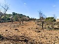 Magnífica Finca Ecuestre Off-Grid en Almansa in Alicante Dream Homes API 1122