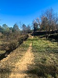 Magnífica Finca Ecuestre Off-Grid en Almansa in Alicante Dream Homes API 1122