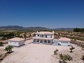Villas de Obra Nueva en Pinoso con piscina y parcela in Alicante Dream Homes API 1122
