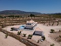 Villas de Obra Nueva en Pinoso con piscina y parcela in Alicante Dream Homes API 1122