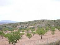 Luxury New Build Villa  in Alicante Dream Homes API 1122