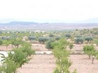 Luxury New Build Villa  in Alicante Dream Homes API 1122