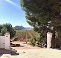 Exclusieve off-grid villa op de top van de berg in Villena in Alicante Dream Homes API 1122