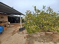Landhaus zu verkaufen in der Nähe von La Romana in Alicante Dream Homes API 1122