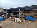 Landhaus zu verkaufen in der Nähe von La Romana in Alicante Dream Homes API 1122