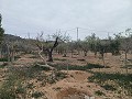 Landhaus zu verkaufen in der Nähe von La Romana in Alicante Dream Homes API 1122