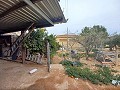 Landhaus zu verkaufen in der Nähe von La Romana in Alicante Dream Homes API 1122