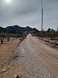 Terrain à vendre avec des oliviers à La Romana. in Alicante Dream Homes API 1122