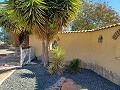 Lovely 3 Bedroom 2 Bathroom Villa in Aspe in Alicante Dream Homes API 1122
