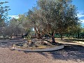 Lovely 3 Bedroom 2 Bathroom Villa in Aspe in Alicante Dream Homes API 1122