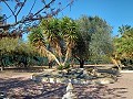 Lovely 3 Bedroom 2 Bathroom Villa in Aspe in Alicante Dream Homes API 1122