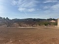 Magnifique terrain constructible à distance de marche de la ville. in Alicante Dream Homes API 1122