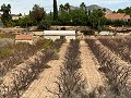 Magnifique terrain constructible à distance de marche de la ville. in Alicante Dream Homes API 1122