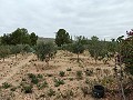 Lovely country home  in Alicante Dream Homes API 1122