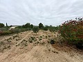 Lovely country home  in Alicante Dream Homes API 1122