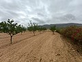 Lovely country home  in Alicante Dream Homes API 1122
