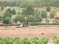 Lovely country home  in Alicante Dream Homes API 1122