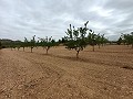 Lovely country home  in Alicante Dream Homes API 1122
