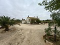 Lovely country home  in Alicante Dream Homes API 1122