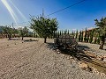 Stunning new build villas  in Alicante Dream Homes API 1122
