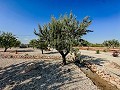 Stunning new build villas  in Alicante Dream Homes API 1122