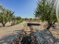 Stunning new build villas  in Alicante Dream Homes API 1122