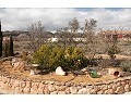 Lovely 3 Bed 2 Bath Villa, Pinoso. in Alicante Dream Homes API 1122