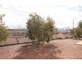 Lovely 3 Bed 2 Bath Villa, Pinoso. in Alicante Dream Homes API 1122