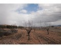 Lovely 3 Bed 2 Bath Villa, Pinoso. in Alicante Dream Homes API 1122