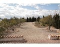 Lovely 3 Bed 2 Bath Villa, Pinoso. in Alicante Dream Homes API 1122