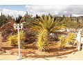 Lovely 3 Bed 2 Bath Villa, Pinoso. in Alicante Dream Homes API 1122