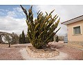 Lovely 3 Bed 2 Bath Villa, Pinoso. in Alicante Dream Homes API 1122