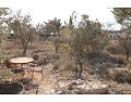2 Bed 1 Bath Country house for sale in Lel, Pinoso. in Alicante Dream Homes API 1122
