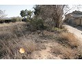 2 Bed 1 Bath Country house for sale in Lel, Pinoso. in Alicante Dream Homes API 1122