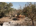 2 Bed 1 Bath Country house for sale in Lel, Pinoso. in Alicante Dream Homes API 1122