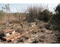 2 Bed 1 Bath Country house for sale in Lel, Pinoso. in Alicante Dream Homes API 1122