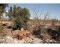 2 Bed 1 Bath Country house for sale in Lel, Pinoso. in Alicante Dream Homes API 1122
