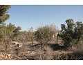 2 Bed 1 Bath Country house for sale in Lel, Pinoso. in Alicante Dream Homes API 1122