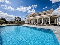 Ready now, Wow factor villa with pool, guest house and Bar! in Alicante Dream Homes API 1122