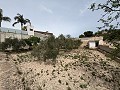 Big country home in Salinetas, Petrer in Alicante Dream Homes API 1122
