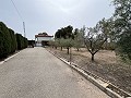 Big country home in Salinetas, Petrer in Alicante Dream Homes API 1122