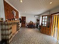 Big country home in Salinetas, Petrer in Alicante Dream Homes API 1122