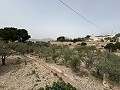 Big country home in Salinetas, Petrer in Alicante Dream Homes API 1122