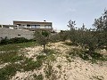 Big country home in Salinetas, Petrer in Alicante Dream Homes API 1122