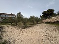 Big country home in Salinetas, Petrer in Alicante Dream Homes API 1122