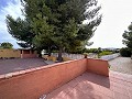 Private Campsite with a 4 Bed House in Pinoso. in Alicante Dream Homes API 1122