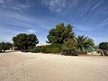Private Campsite with a 4 Bed House in Pinoso. in Alicante Dream Homes API 1122