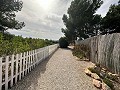 Private Campsite with a 4 Bed House in Pinoso. in Alicante Dream Homes API 1122